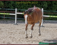 1-13JUIN 0914